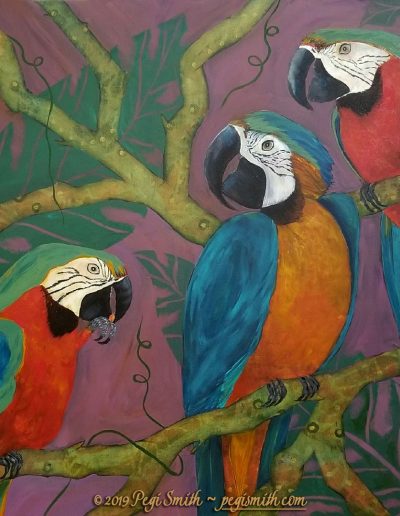Macaws, 36 x 36 Acrylic on Canvas painting by Pegi Smith